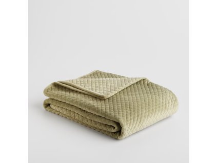 2025 11 19 13 19 18 Plant material No. Creation