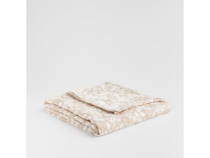 2025 11 20 09 59 38 SAP Logon 750