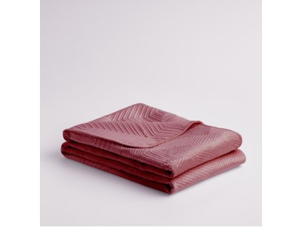 2025 11 20 10 00 07 SAP Logon 750