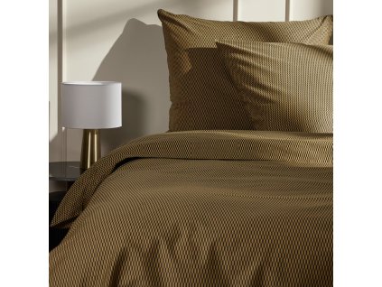 2025 11 21 17 09 02 SAP Logon 750