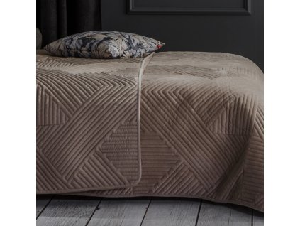 2025 11 24 10 01 58 SAP Logon 750