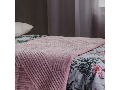 2025 11 24 10 02 12 SAP Logon 750