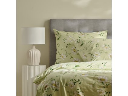 2025 11 24 10 59 45 Business Workplace of Sabina Kovácová