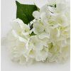 2026 03 17 13 27 53 Plant material No. Creation