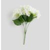 2026 03 17 13 28 03 Plant material No. Creation