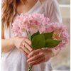 2026 03 17 13 28 14 Plant material No. Creation