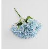 2026 03 17 13 28 48 Plant material No. Creation