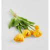 2026 03 17 16 53 31 Plant material No. Creation
