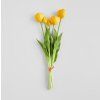 2026 03 17 16 53 39 Plant material No. Creation