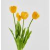 2026 03 17 16 53 21 Plant material No. Creation
