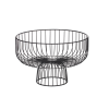 2026 04 17 09 54 34 Plant material No. Creation