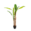 2026 04 23 10 55 45 SAP Logon 750