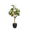 2026 04 23 14 43 09 SAP Logon 750