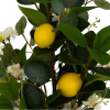 2026 04 23 16 25 55 SAP Logon 750
