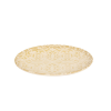 2026 04 25 15 20 10 SAP Logon 750