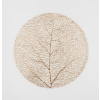 2026 05 18 19 50 19 Plant material No. Creation