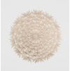 2026 05 18 19 50 47 Plant material No. Creation