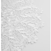 2026 05 18 19 51 26 Plant material No. Creation