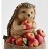 2025 08 12 14 46 35 Figurka Hedgehoggy home&you and 6 more pages Work Microsoft​ Edge