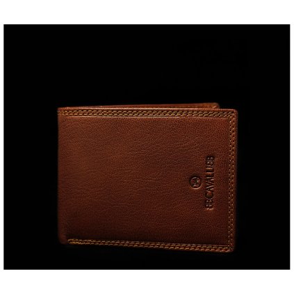 Peňaženka BB.Cavalli 742-292E SELLA