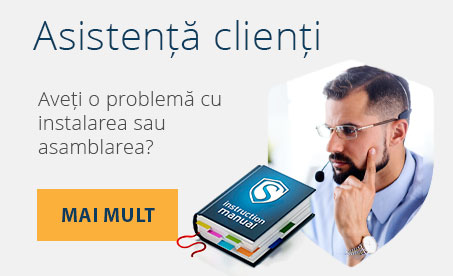 Asistenta