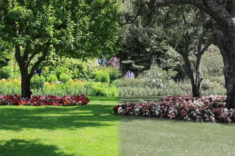 Čo je to IR-cut filter