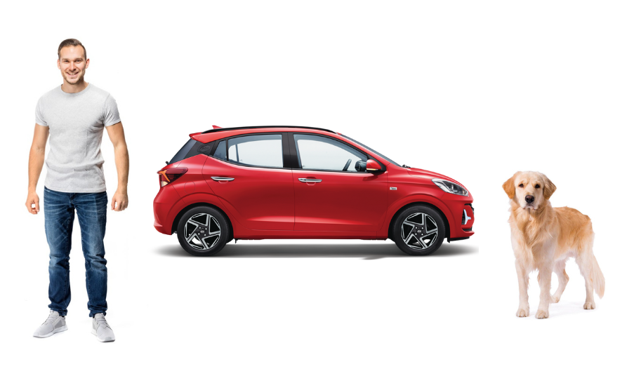 Typy detekcie pohybu - prehľad