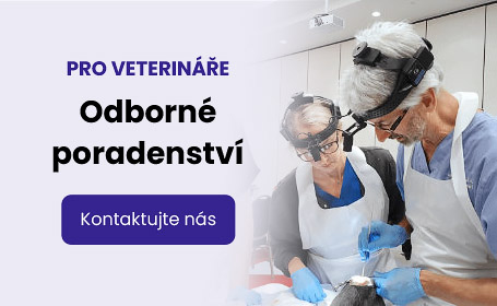 Poradenství