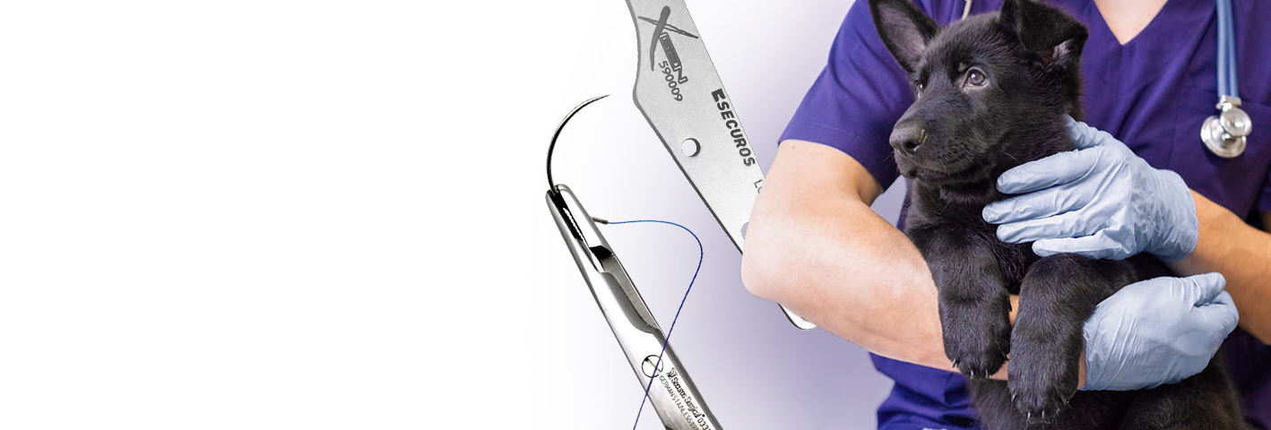 Securos Surgical