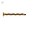 3.5mm Cortical Screw, Self-Tapping, Hexagonal Recess - Titanium