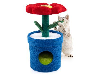 Cute Cat Tree with Flower Perch and Stem Scratching Post 4