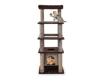 Multi level Cat Tree with Swaying Aerial Condo and Exploration Hole 4