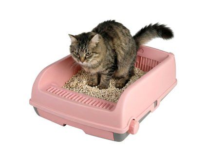 semi auto open top cat litter box with high side pi 3 1