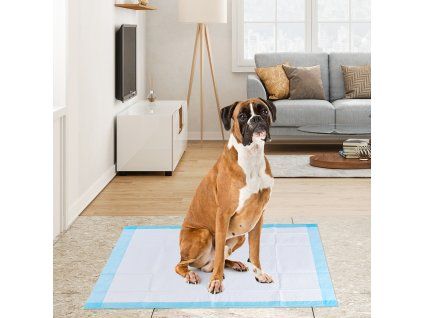 Pet Pee pads with 5-Layer Design of 4 Sizes-Size 4