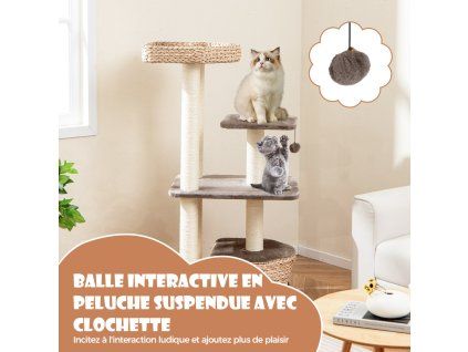 arbre chat 53206174 8