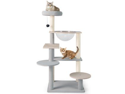 arbre chat 53841970 1