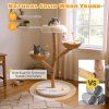 Real Wood Branch Kitten Tower with Flower Perch and 2 Wicker Baskets 8