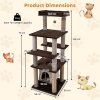 Multi level Cat Tree with Swaying Aerial Condo and Exploration Hole Size 5