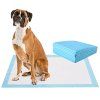 Pet Pee pads with 5-Layer Design of 4 Sizes-Size 4