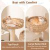 41 Inch Rattan Cat Tree with Napping Perch-White