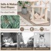 kitten activity center with cattail fluff cat condo 3