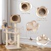 kitten activity center with cattail fluff cat condo 7
