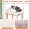 47 Inches Wooden Cat Tree natural 6