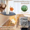 arbre chat mignon pour chats d int rieur chatons pv10185 1 8