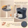 arbre chat mignon pour chats d int rieur chatons pv10185 1 10