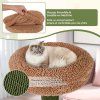 arbre chat cactus pour chats d int rieur pv10195gn 1 11