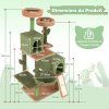 arbre chat cactus pour chats d int rieur pv10197gn 1 1 10 1