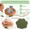 arbre chat cactus pour chats d int rieur pv10197gn 1 1 9 1