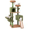 arbre chat cactus pour chats d int rieur pv10197gn 1 1 1 1
