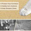 2 Piece Cat Scratche 1770100925118583 643811